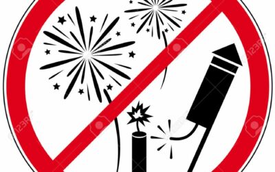 Arrêté portant interdiction temporaire de vente et d’utilisation d’artifices de divertissement