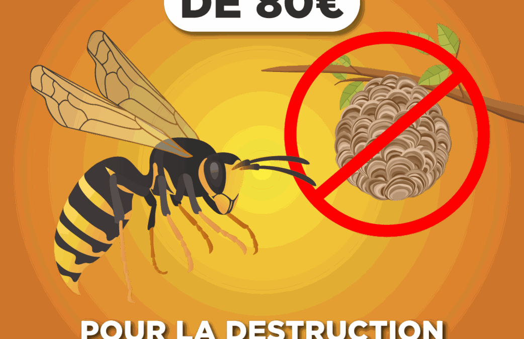 Aide financière pour la neutralisation des nids d’hyménoptères
