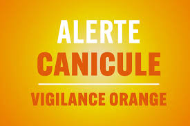Vigilance canicule