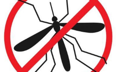 Campagne de démoustication 2026 – TRAITEMENT