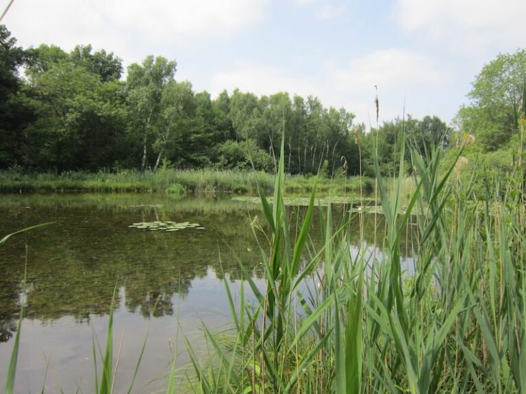 marais-des-trous-de-leu-cenca